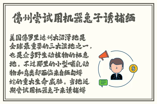 精产国品一二三卡区别